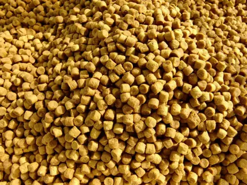 pellet orzech tygrysi 6mm gigetbaits.jpg
